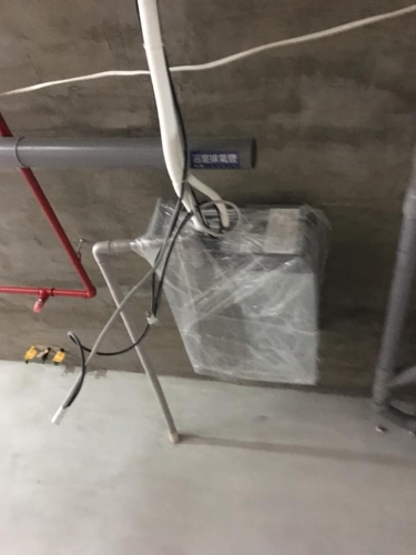 50737503_2420546364842747_1655025627008335872_n